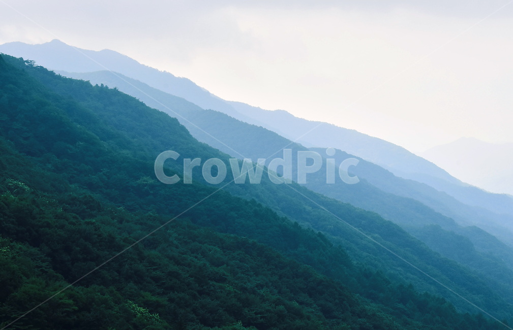산,능선,아우라,첩첩산중,고산지대,그라데이션,자연,풍경,그린,초록,녹색,블루,파랑색,겹겹이,높은산,아웃라인,파스텔톤,mountain,pasteltone,background,바탕,배경,백그라운드,숲,forest,green,자연,풍경,nature,landscape,한국자연풍경,한국자연경관,korea nature landscape,outdoors,옥외