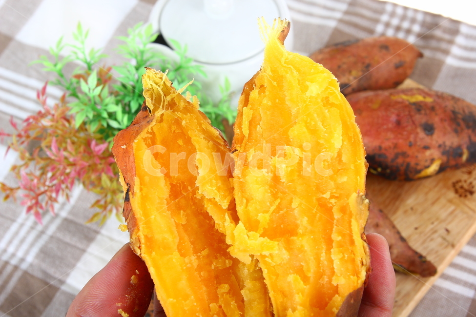 고구마,군구고마,구황작물,음식,식품,간식,호박고구마,밤고구마,달콤,sweetpotatoes,gourd,gourdcrop,food,snacks,sweet,음식,식재료,요리,food,cook,meal,dishes,food reserves,연출,컨셉,콘셉,direction,concept
