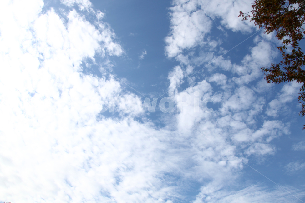nature,자연,outdoors,옥외,하늘,푸른하늘,자연,풍경,nature,landscape
