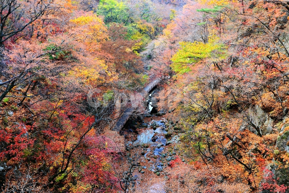 희방사,소백산,다리,가을,낙엽,단풍,가을,계절,fall,autumn,season,자연,풍경,nature,landscape