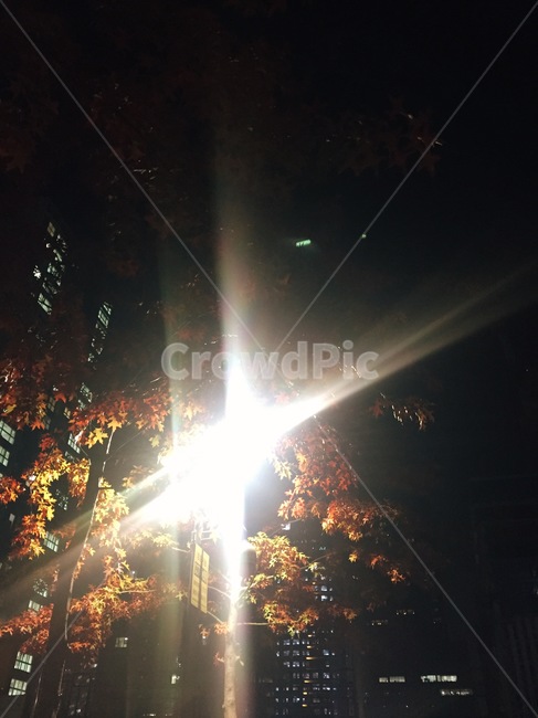 조명,빛,풍경,밤,밤풍경,가로등,번집,빛번짐,야경,밤,풍경,nightscape,night,landscape,light,flare,플레어