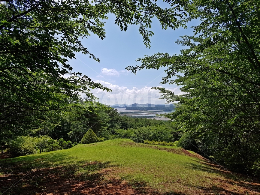 nature,outdoors,옥외,field,들,grassland,목초지,숲속,자연,하늘
