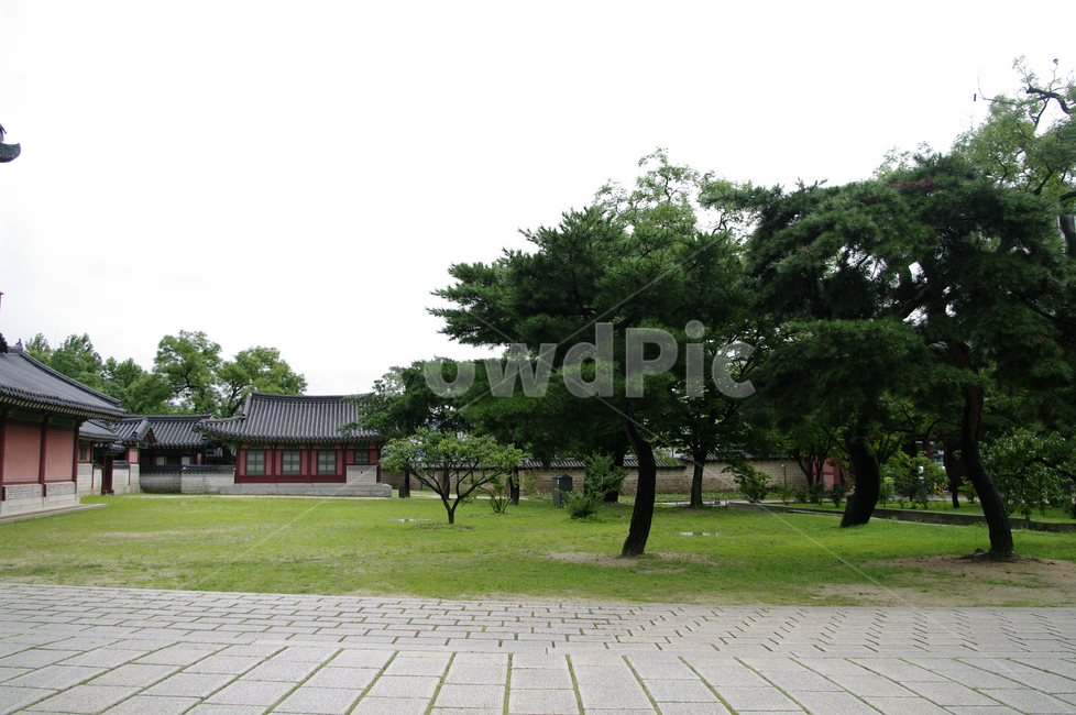 창덕궁,고궁,한옥,전통가옥,기와지붕,건축,traditional,나무,한국전통,한국문화,korean traditional,korean culture,랜드마크,landmark,tourist attraction,한국랜드마크,한국관광지,한국명소,korea landmark,korea tourist attraction,건축물,건물외관,exterior,building,structure,architecture,construction
