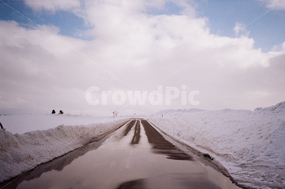 japan,hokkido,biei,일본,비에이,길,눈쌓인길,nature,자연,snow,겨울,계절,winter,season