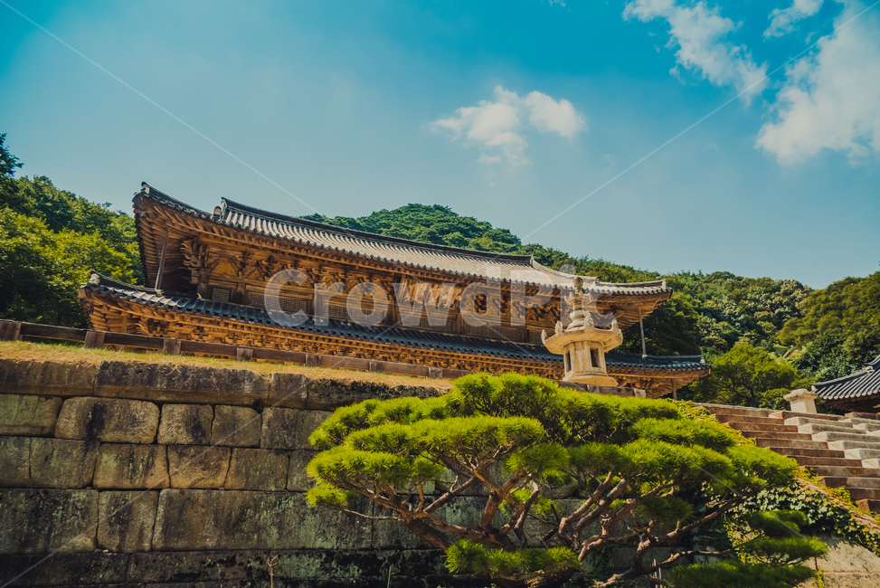 temple,architecture,건축물,건물,절,사찰,하늘,구름,sky,cloud,나무,tree,풍경,절풍경,기와,지붕,기와지붕