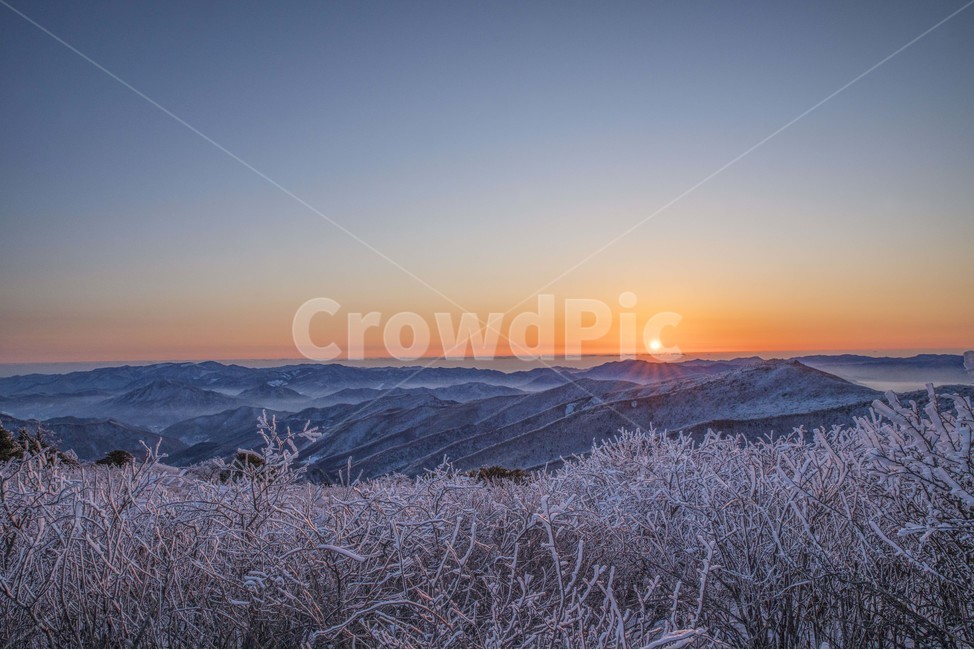 태백산,일출,설산,상고대,겨울,아침,눈꽃,겨울,계절,winter,season,자연,풍경,nature,landscape,outdoors,옥외