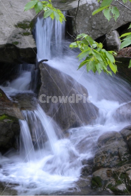 폭포,계곡,나뭇잎,초록,바위,여름,계절,summer,season,자연,풍경,nature,landscape,water,물,river,강,outdoors,옥외,waterfall