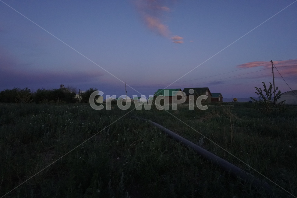 nature,자연,outdoors,옥외,건물,building,초원,하늘,보라색,구름,나무,자연물,자연,풍경,nature,landscape