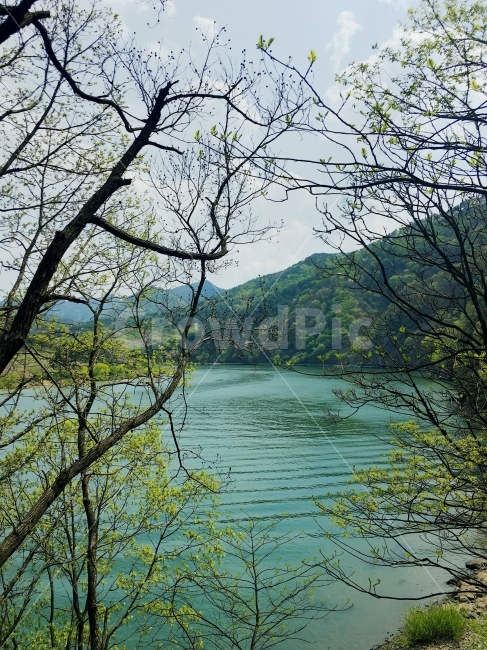 풍경,자연,산,나무,물,초록색,나뭇가지,강,트래킹,시골,자연,풍경,nature,landscape,여름,계절,summer,season,water,outdoors,옥외,land,땅