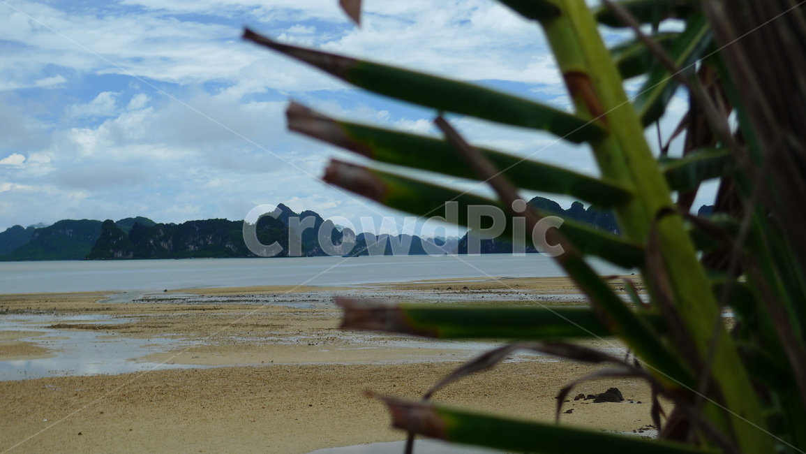 nature,자연,outdoors,바다,해변,해변,바다,beach,sea