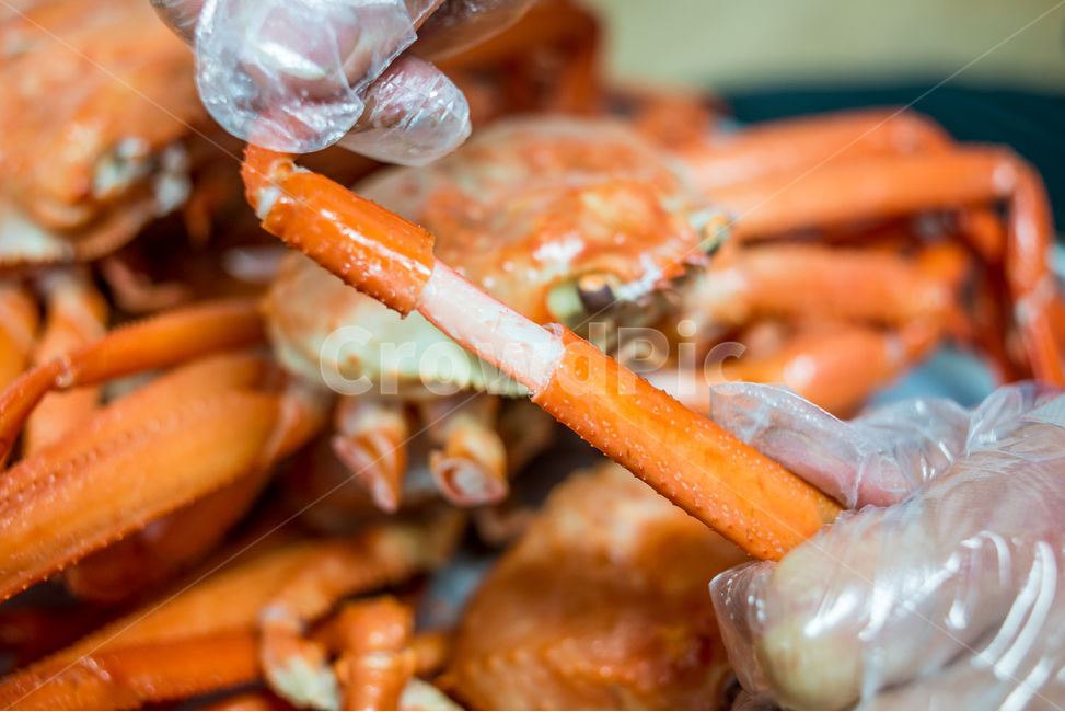 홍게,게,꽃게,랍스터,식품,해물,해산물,홍게찜,크랩,crab,braisedredcrab,redsnowcrab,음식,식재료,요리,food,cook,meal,dishes,food reserves,수산물,해산물,fishery products,seafood