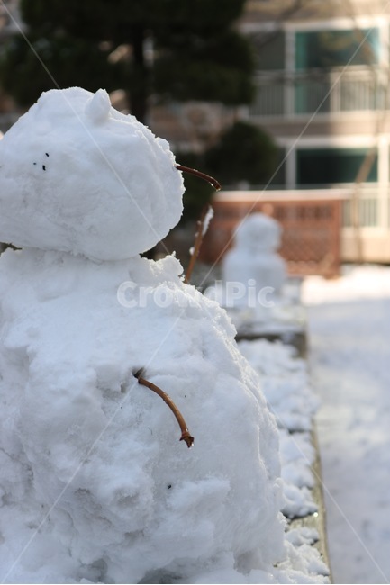 눈사람,눈,자연,만들기,식물,나무,흰색,빛,초록,snowman,yukidaruma,snow,yuki,nature,make,tsukuru,plants,shokubutsu,tree,ki,white,shiro,light,hikari,green,midori,나뭇가지,겨울,winter,huyu