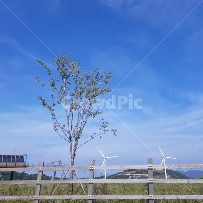 풍차,목장,하늘,풍력발전소,평화