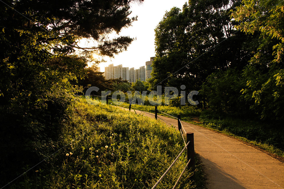 길,풍경,자연,숲길,산책,road,landscape,stroll,자연,풍경,nature,landscape