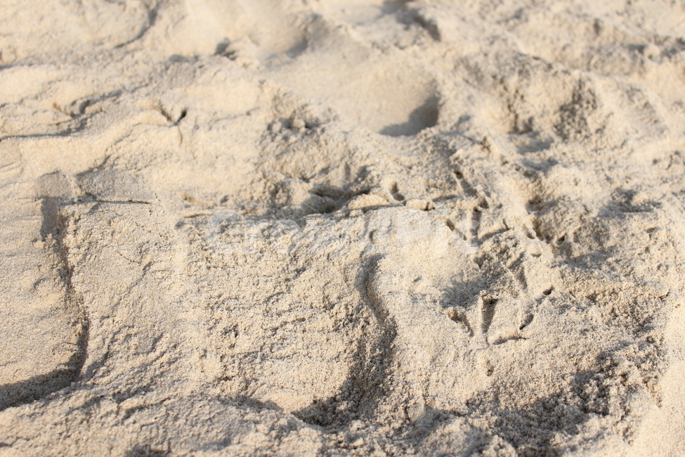 배경,백그라운드,모래,모래사장,감성사진,발자국,해변,background,sand,해변,바다,beach,sea