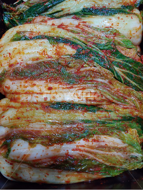 김장,김치,배추,배추김치,열무,열무김치,반찬,매운,찬,한국음식,전통음식,음식,식재료,요리,food,cook,meal,dishes,food reserves,한식,한국음식,한국요리,korean food,korean dishes,korean meal,korean cook