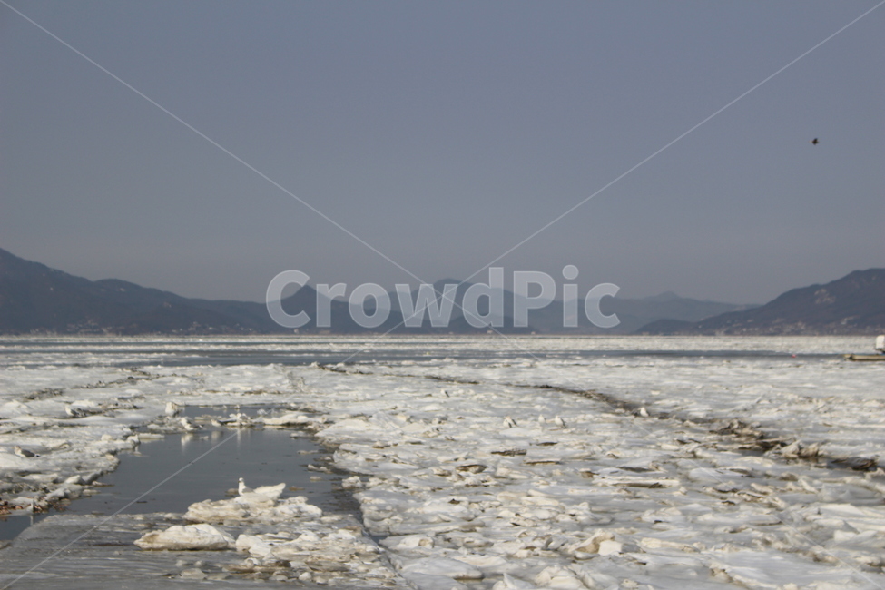 바다,겨울바다,겨울,얼은바다,얼음,겨울,계절,winter,season,자연,풍경,nature,landscape