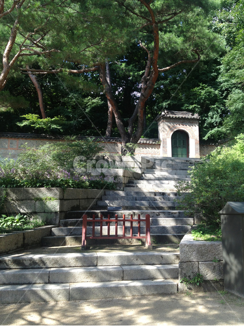 창덕궁,궁,정원,정자,옥외,판석,garden,arbour,outdoors,flagstone,palace,그림자,빛,shadow,tree,plant,나무,green,white,감성사진,전통,tradition,heritage,돌담,stonewall,brick,korea,한국,한국적인,oriental