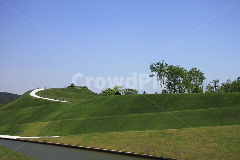 field,들,outdoors,옥외,grassland,목초지,자연,풍경,nature,landscape