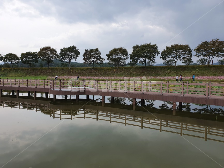 호수,다리,나무다리,가을풍경,가을축제,자연,풍경,nature,landscape