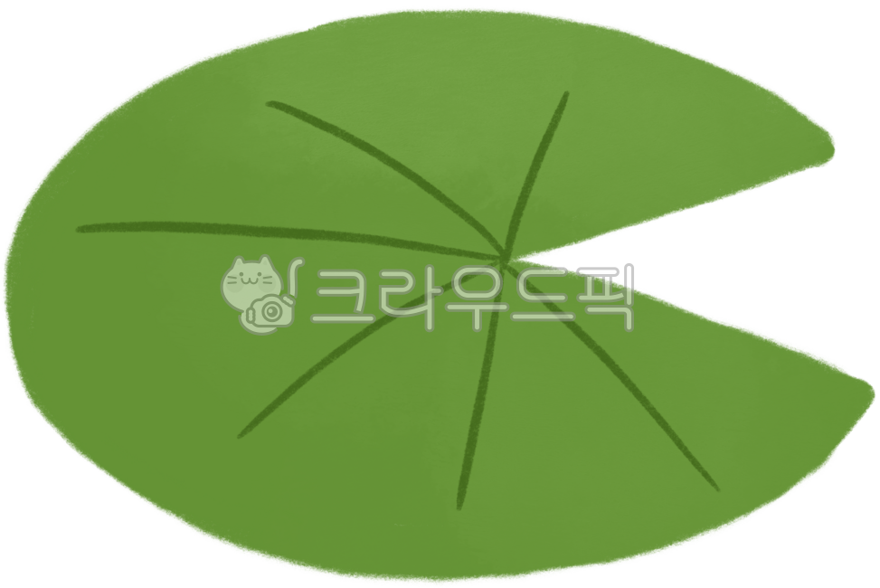 연잎,연꽃잎,연잎일러스트,연꽃잎그림,귀여운연잎,귀여운연잎일러스트,자연소품,식물일러스트,연잎소품,연잎그림,연잎클립아트,자연그림,꾸미기자료,꾸미기소품,초록잎일러스트,연잎디자인