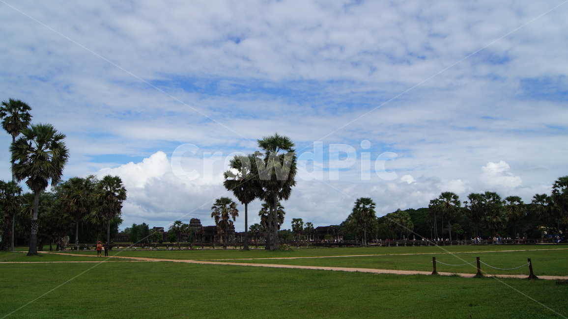 trees,tree,forest,cambodia,sky,blue,cloud,road,park,garden,landscape,green,nature,sun,sunny,sunnyday,나무,하늘,공원,숲,캄보디아,풍경,자연,잔디,해,풀