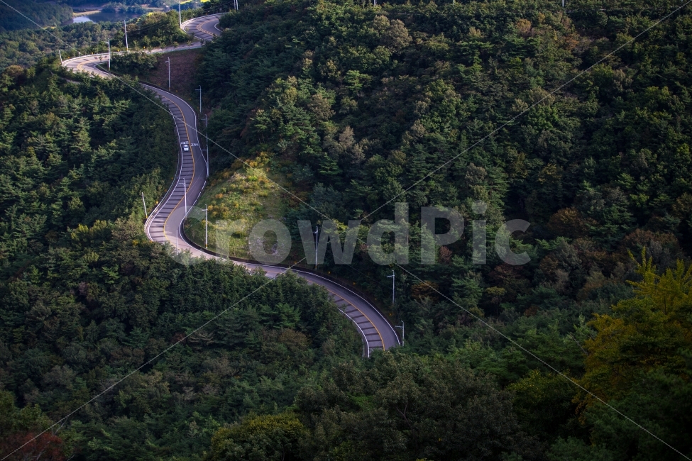 도로,길,풍경,초록,자연,가을,landscape,자연,풍경,nature,landscape,한국자연풍경,한국자연경관,korea nature landscape,교통,교통수단,traffic,transportation,road,scenery,outdoors,옥외,경치