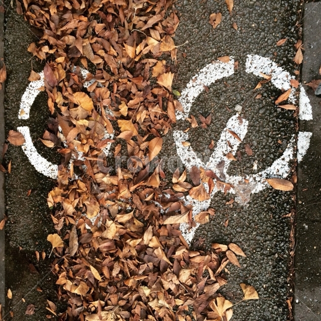가을,도로,자전거,감성사진,autumn,fall,fallingleaves,road,sign,symbol,mood,korea,asia,가을,계절,fall,autumn,season