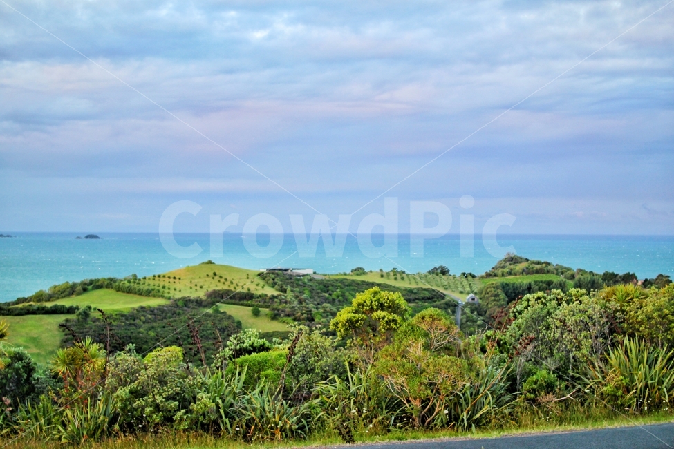 뉴질랜드,와이헤케,자연,풍경,풍경사진,자연,풍경,nature,landscape,해외,외국,세계,foreign,oversea,world,세계자연풍경,해외자연풍경,외국자연풍경,world nature landscape,outdoors,옥외