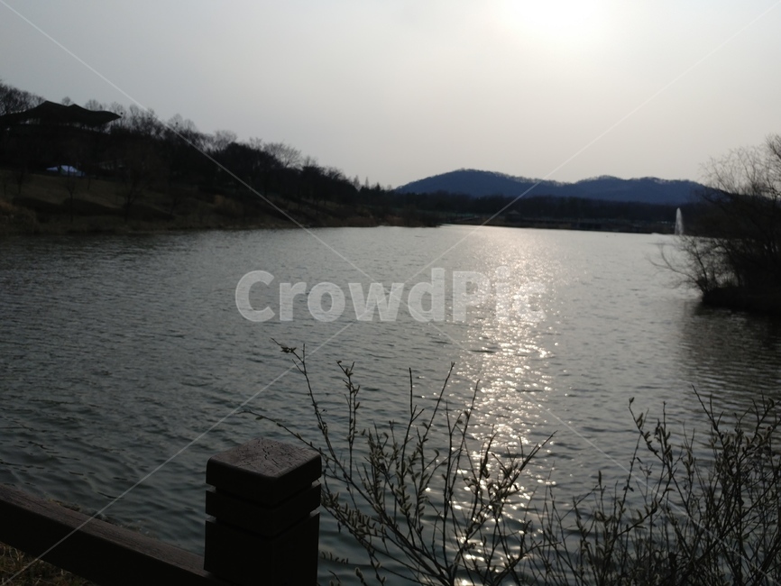 공원,하늘,빛,호수,나무