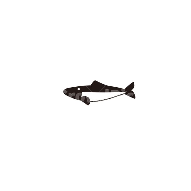 물고기,바다물고기,생선,생선구이용,바다생선,수산물,해산물,fishery products,seafood,그래픽,일러스트레이션,graphic,illustration