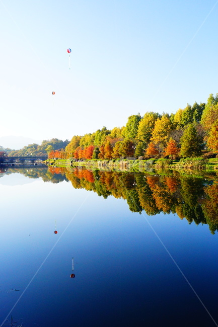 담양,광주근교,메타세콰이어,가로수,강변,가로수길,가을,계절,fall,autumn,season,자연,풍경,nature,landscape,water,물,outdoors,옥외