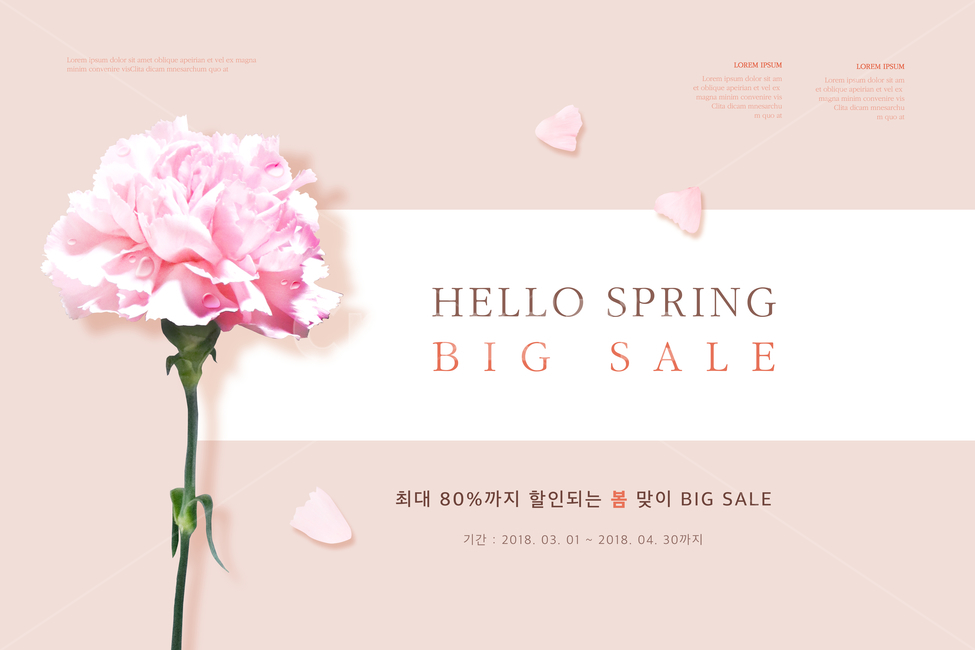 카네이션,꽃,꽃잎,봄,프레임,이벤트,쇼핑,꽃,flower,가족,패밀리,family,축제,행사,festival,carnival,event,기념일,축하,anniversary,congratulation,celebrate,celebration,쇼핑,shopping,그래픽,일러스트레이션,graphic,illustration