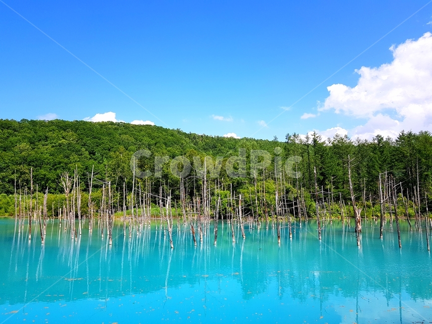 호수,자연,풍경,일본,청의호수,배경,에메랄드,산,자연,풍경,nature,landscape,해외,외국,세계,foreign,oversea,world,세계자연풍경,해외자연풍경,외국자연풍경,world nature landscape,water,물,outdoors,옥외,lake