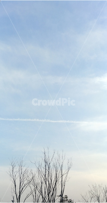 하늘,구름,나무,sky,cloud,자연,풍경,nature,landscape,outdoors,옥외