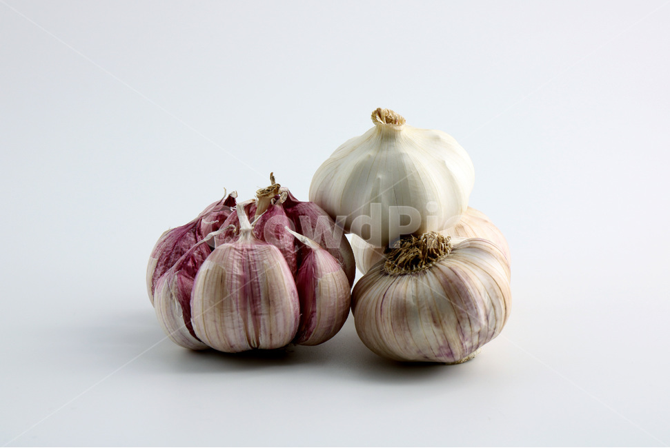 사진,누끼,마늘,야채,채소,햇마늘,육쪽마늘,갈릭,통마늘,재료,식자재,garlic,wholegarlic,vegetable,food,음식,식재료,요리,food,cook,meal,dishes,food reserves,채소,야채,vegetables,누끼,remove background