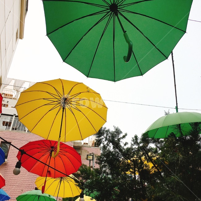 우산,디자인,익선동,iksondong,umbrella,색감