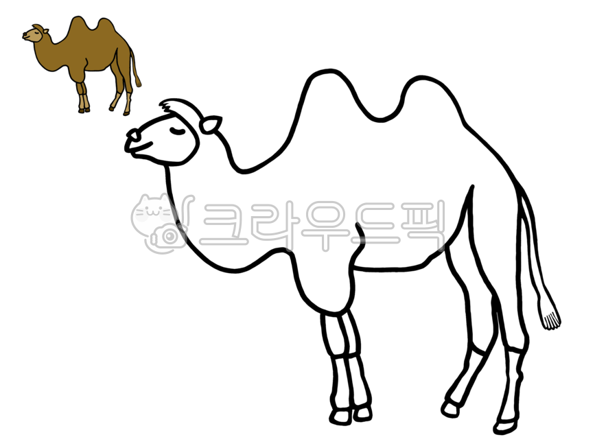 색칠공부,색칠하기,camel,animal,mammal,낙타,낙타일러스트,포유류,낙타색칠공부,낙타색칠하기,낙타그림,그림색칠,동물,동물색칠공부,동물색칠하기,유아미술,유아그림공부,초등미술,그래픽,일러스트레이션,graphic,illustration
