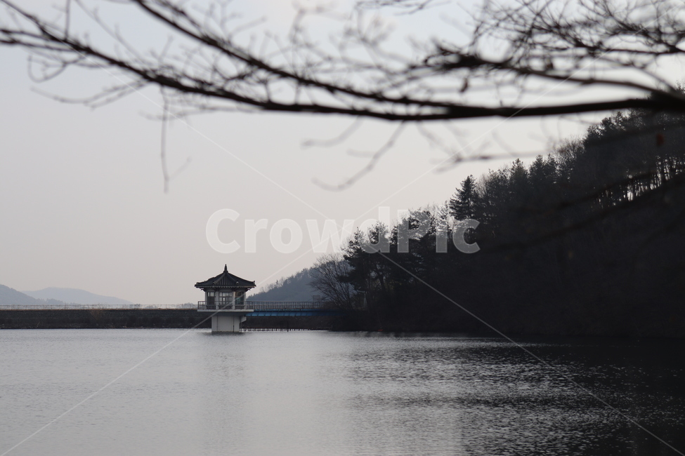 자연,nature,나무,호수,강,바다,정자,저수지
