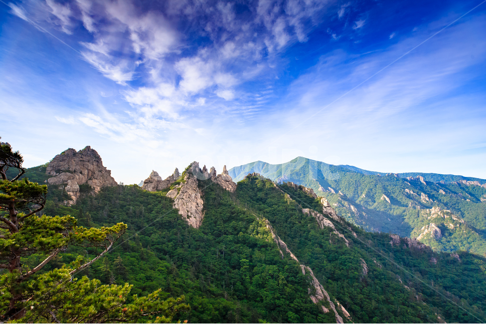설악산,자연,산,나무,바위,암벽,능선,새벽,하늘,자연,풍경,nature,landscape,한국자연풍경,한국자연경관,korea nature landscape,outdoors,옥외,mountain,mountain range,산맥