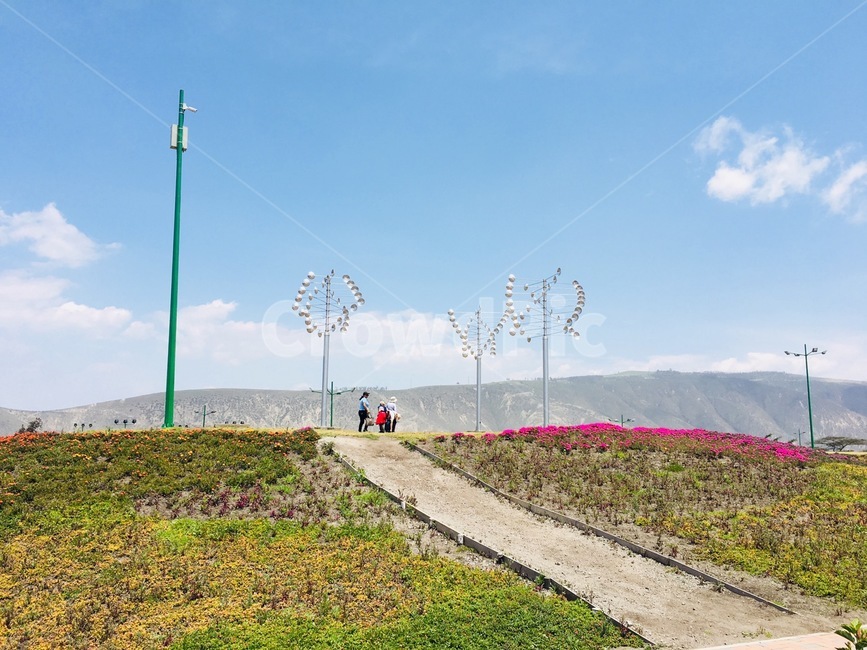 에콰도르,키토,해외,산책로,oversea,foreign,꽃,flower,quito,하늘,맑음,구름,weather,sky,cloud