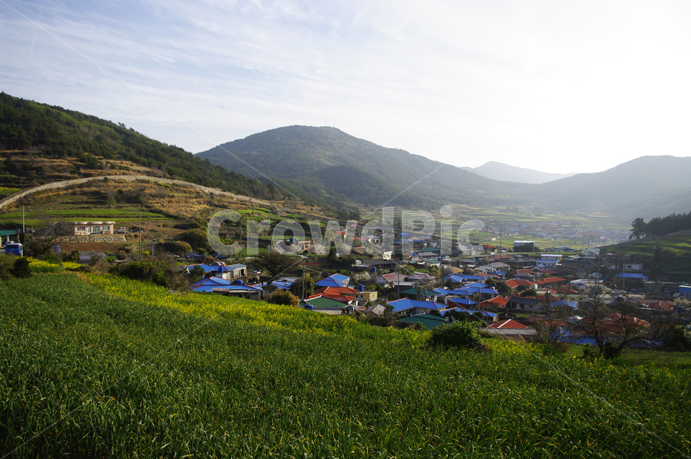 계절,봄,spring,하늘,구름,풍경,마을,산,밭,시골,청산도,봄,계절,spring,season,자연,풍경,nature,landscape,한국자연풍경,한국자연경관,korea nature landscape,시골,마을,country,rural,town,outdoors,옥외,scenery,경치