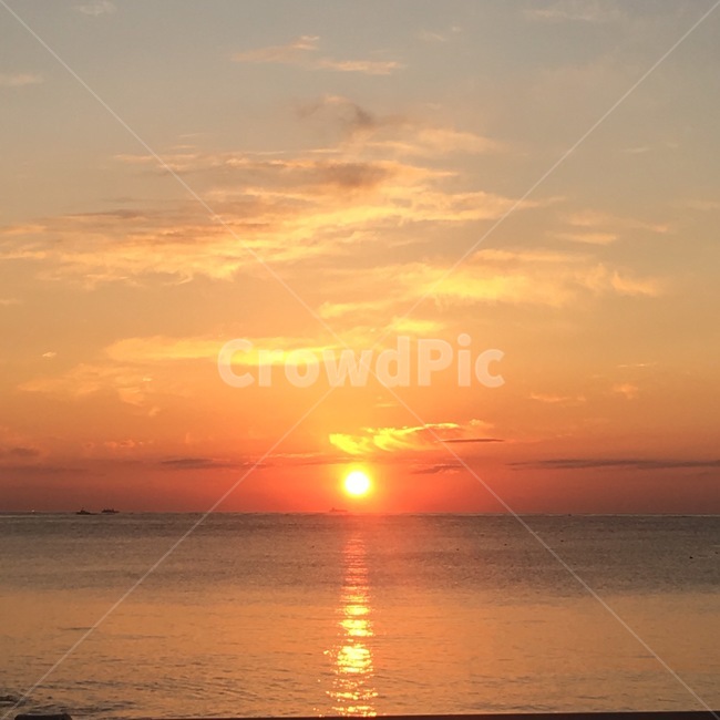 하늘,햇빛,sunlight,sky,nature,일출,태양,해,주황,구름,자연,경치,사진작가,일상,자연,풍경,nature,landscape,outdoors,옥외