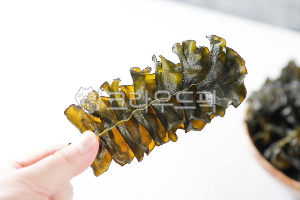 미역,말린미역,미역귀다리,말린미역귀,미역귀,건미역,해초,음식,요리,한식,식재료,클로즈업,cook,meal,dishes,food,seafood,seaweed