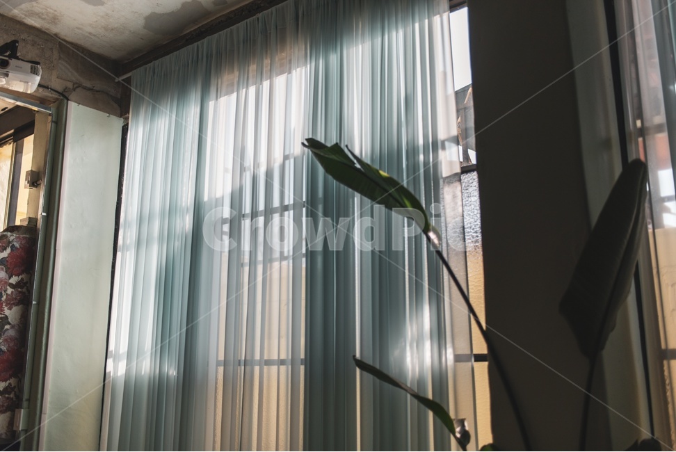 homedecor,가정장식,커튼,햇살,햇빛,커텐,커튼디자인,디자인,인테리어,인테리어소품,소품
