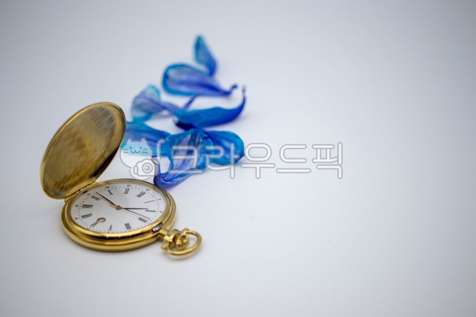 petal,hour,watch,time,clock,dry petals