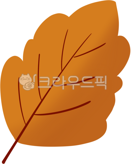 tree branch,tree,maple tree,autumn tree,autumn,maple leaves,maple leaves,fall,autumn atmosphere