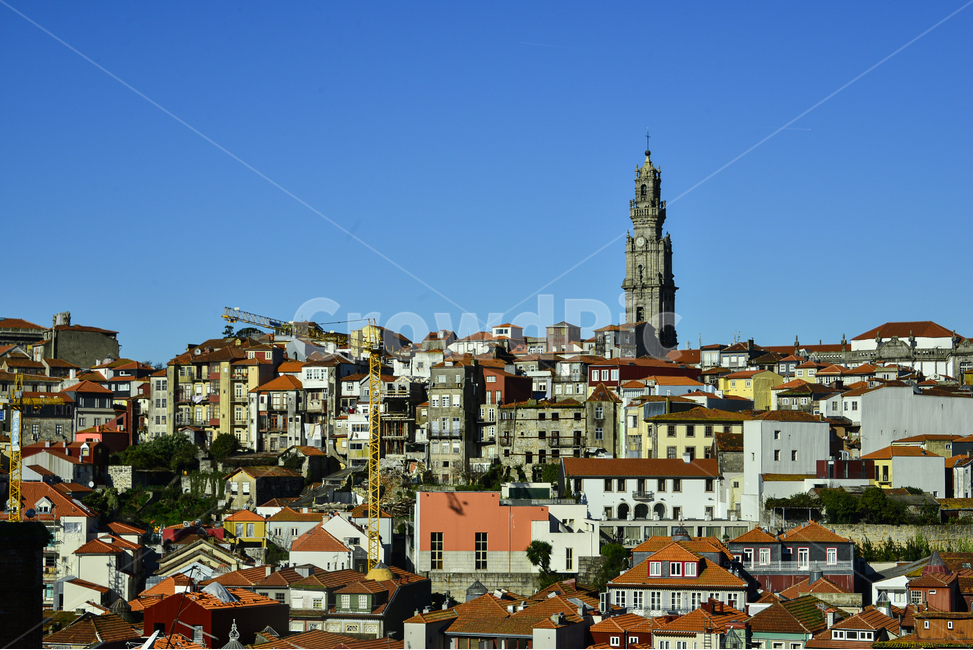 building,건물,architecture,건축물,spire,뾰족한탑,steeple,탑,tower,첨탑