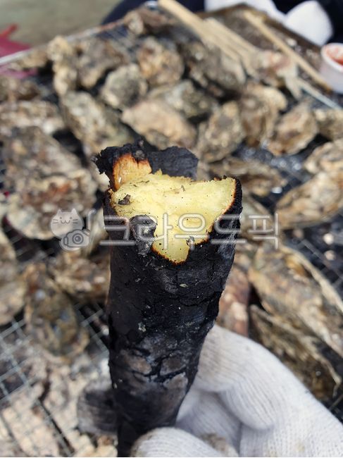 고구마,고구마구이,food,굴,구이,숯불,숯불구이,캠핑,요리,굴구이,조개구이,oyster,해산물,음식,숯,탄고구마