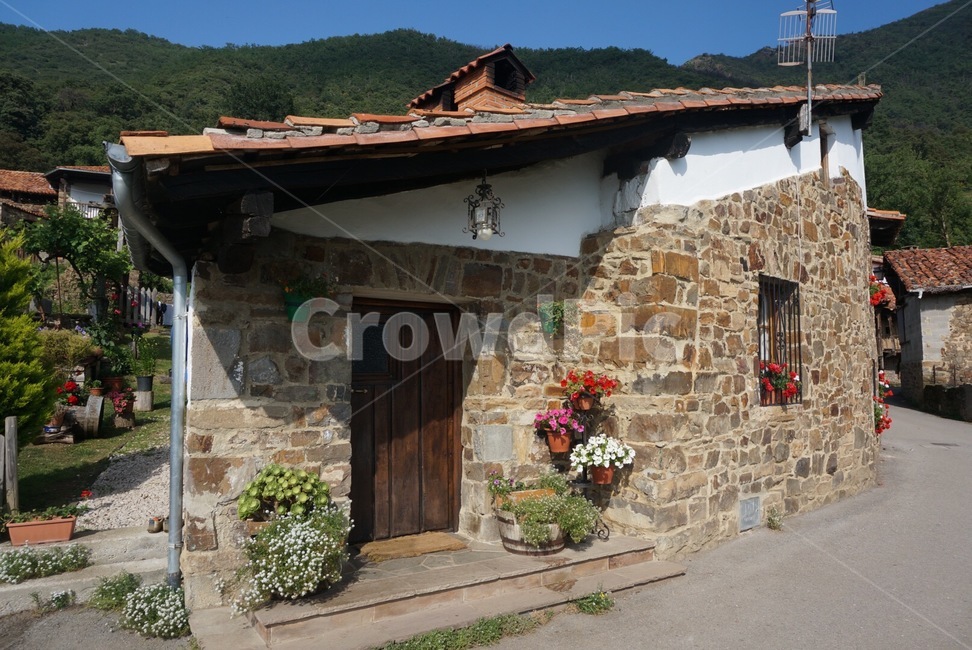 집,문,화분,지붕,마을,house,door,flowerpot,roof